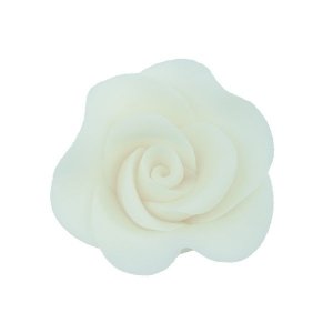 Róża Mini Max 20 szt. biała