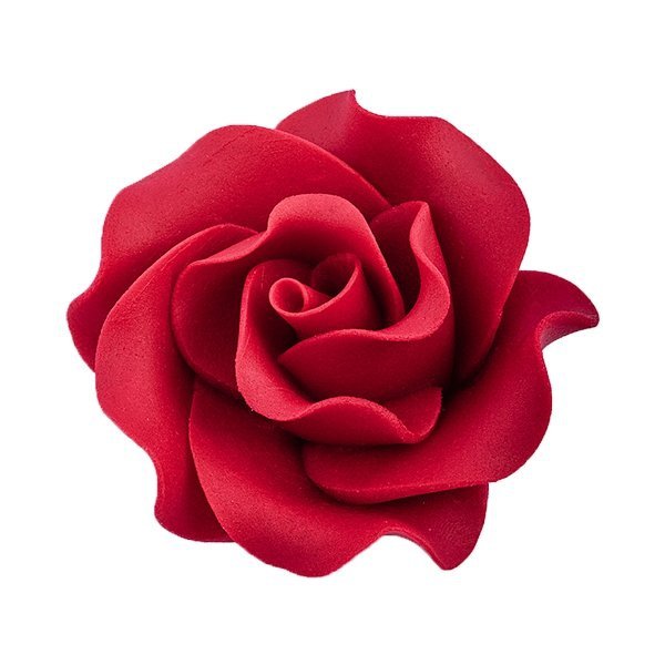 Róża Max 6 szt. bordowa
