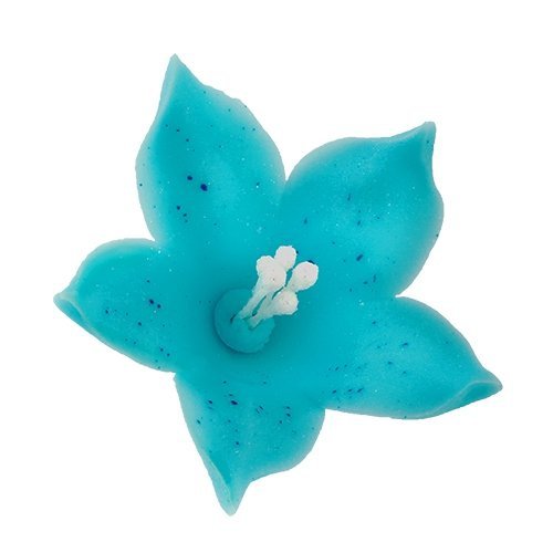Lilijka niebieska - kwiaty cukrowe - 20 szt.