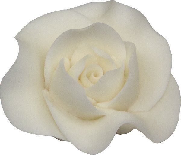 Róża Max 6 szt. biała