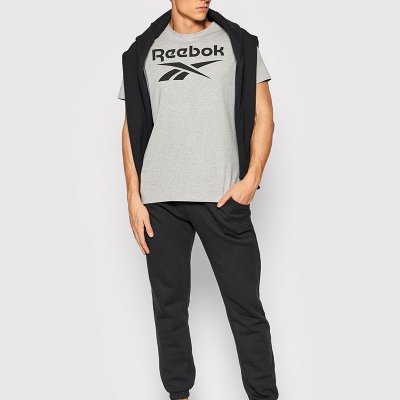 Reebok t-shirt męski szary bawełna Big Logo Tee HD4219