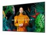 Monitor Samsung profesjonalny QB75C 75 Błyszczący 16h/7