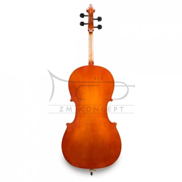 ANDREAS EASTMAN wiolonczela seria 830 Samuel Eastman, rozmiar 4/4, Guarneri/topola z pokrowcem i smyczkiem