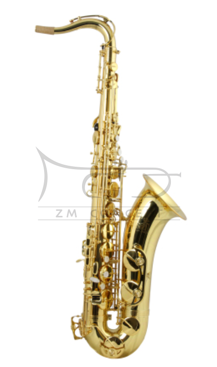 TREVOR JAMES saksofon tenorowy Bb &quot;Classic&quot;, złoty lakier, z futerałem