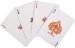 Ignite Deck by Ellusionist
