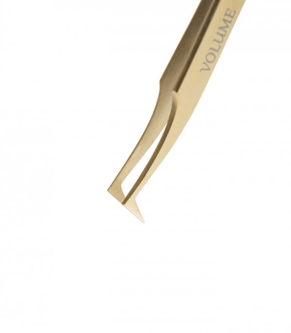 Elegance Gold L