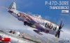 Mini Art 48023 P-47-30RE Thunderbolt Basic Kit 1/48