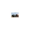 Trumpeter 01064 HEMTT M1120 Container Handling Unit (CHU)