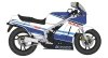 Hasegawa 21760 Suzuki RG500 Early Ver. Blue/White Color 1/12