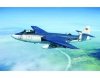 Trumpeter 02827 Seahawk Mk 100/101