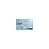 Hobby Boss 86510 SMS Seydlitz