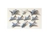Tamiya 78009 U.S. Navy Aircraft No.2 1/350