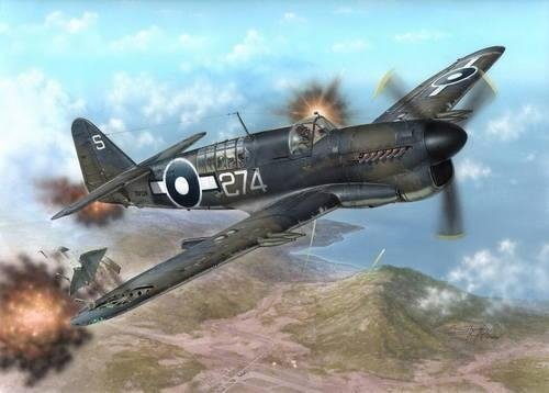 Special Hobby 48131 1/48 Fairey Firefly Mk.I