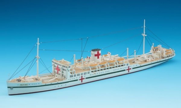 Hasegawa WL502 49502 1/700 IJN Hikawamaru