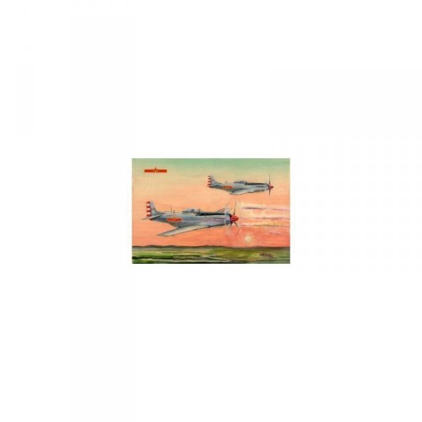 Hobby Boss 85807 PLAAF P-51 D/K Mustang Fighter
