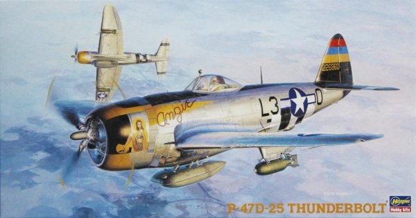 Hasegawa JT-40-09140 P-47D-25 Thunderbolt 1/48