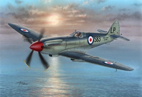 Special Hobby 72229 SupermarIne Seafire 1/72