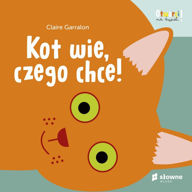 Kot wie, czego chce