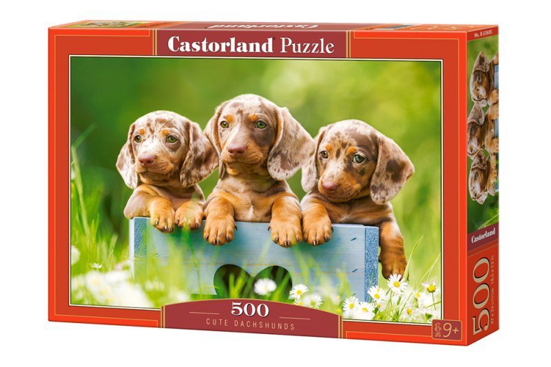 Puzzle 500 Urocze jamniki B-53605