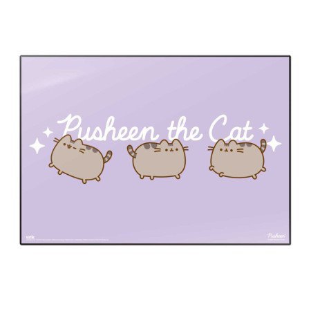 Podkładka Pusheen laminowana TSEH5555