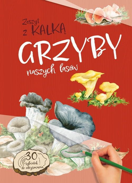 Grzyby naszych lasów. Zeszyt z kalką wyd. 2025