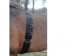 Pas do lonżowania black full