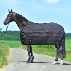 Podpinka derki Thermal 200g