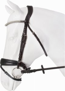 Ogłowie anatomiczne Gipsy