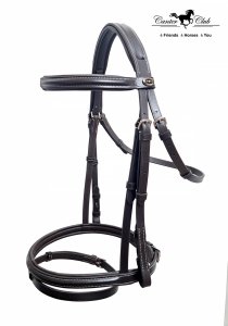 Ogłowie Anglica Nova