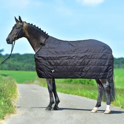 Podpinka derki Thermal 200g