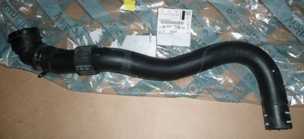 Original 1614086780