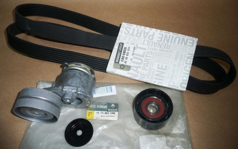 Ensemble de courroie d'alternateur Renault Espace IV 2.0/1.9DCI, 117200319R, 