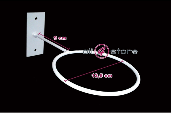 Holder, hook for ball, mounted to wall