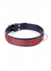 Fetish Boss Series Collar with crystals 3 cm Red Line