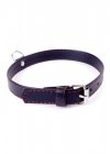 Fetish Boss Series Collar  2cm Red Line