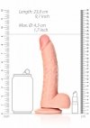 Curved Realistic Dildo  Balls  Suction Cup - 8/ 20,5 cm