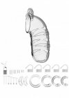 ManCage Model 05 Chastity 5.5'' Cock Cage - męski pas cnoty (przezroczysty)