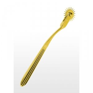 Taboom Warterberg Wheel Gold - koło (złote)