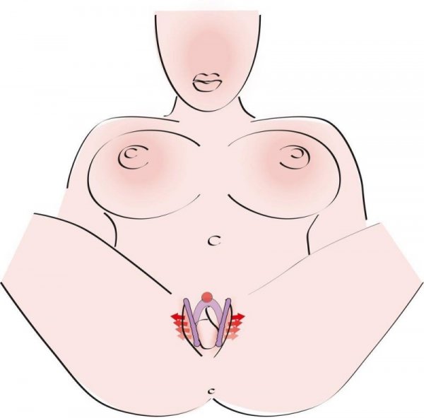 Intimate Spreader Li
