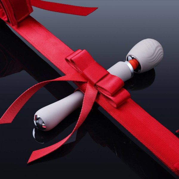Upko mocowanie Wand Vibrator Mounting Accessory of Spreader Bar (czerwony)