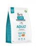 BRIT Care Grain-Free Adult Salmon – sucha karma dla psa - 3 kg