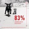 ROYAL CANIN Immunity&Digestion Supplements 100g