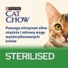 PURIINA CAT CHOW STERILIS Jagn&Ziel Fasolka 85g