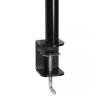 ARCTIC Z2 Basic uchwyt / stojak do monitorów 68,6 cm (27) Biurko Czarny