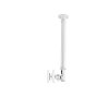 Uchwyt sufitowy NEWSTAR FPMA-C100WHITE (10 - 30; do 1 ekranu; sufitowy)