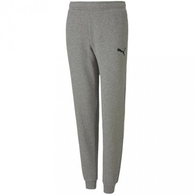 Spodnie dla dzieci Puma teamGOAL 23 Casuals Pants Jr szare 656713 33 140