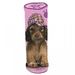 Piórnik szkolny z pieskiem psem dla Dziewczynek