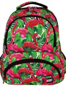 Plecak St. Right Młodzieżowy Szkolny Flamingo Pink & Green [BP7]