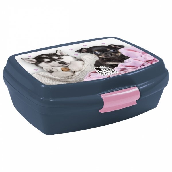 Plecak z Pieskami dla Uczennicy Szkolny Zestaw 5ele [PL15BCF38]