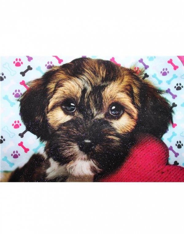 Plecak Plecaczek Pies Piesek do Przedszkola [607839]